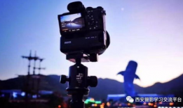 西安短视频,西安短视频带你领略古都魅力